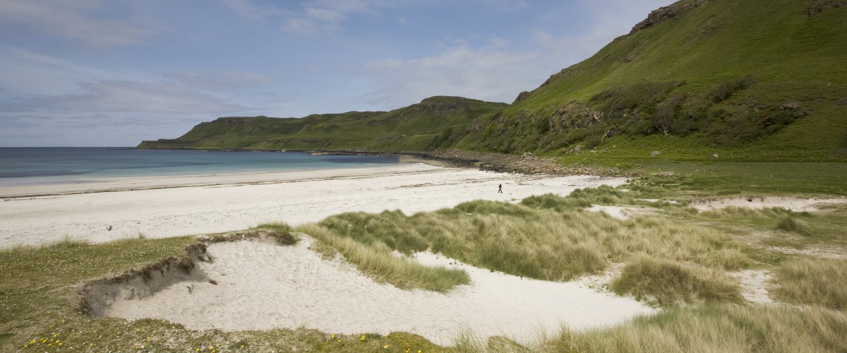 Calgary Bay